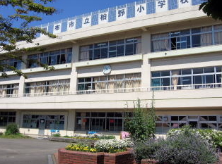 ファミーユ柴崎 周辺画像6