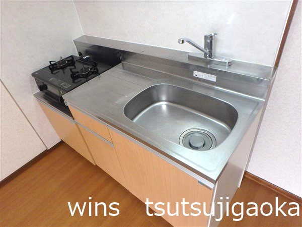 スプランドゥール国領 キッチン