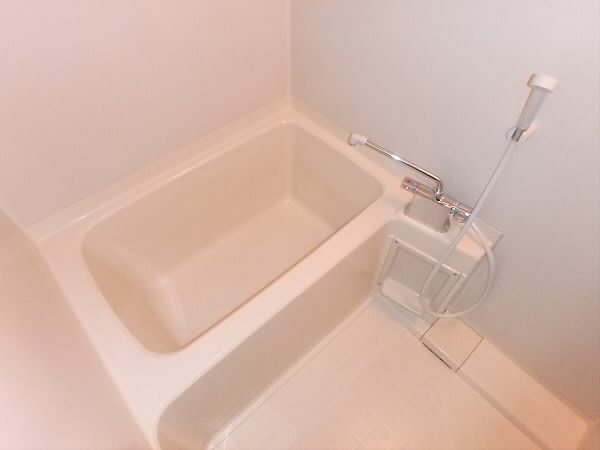 スプランドゥール国領 風呂画像