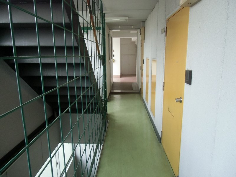 ヒルマステップス その他7