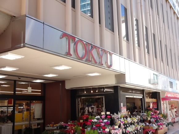 ＺＯＯＭ調布 周辺画像3