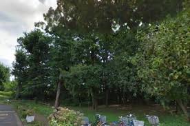 ZELKOVA GARDEN（ゼルコバガーデン） 周辺画像6