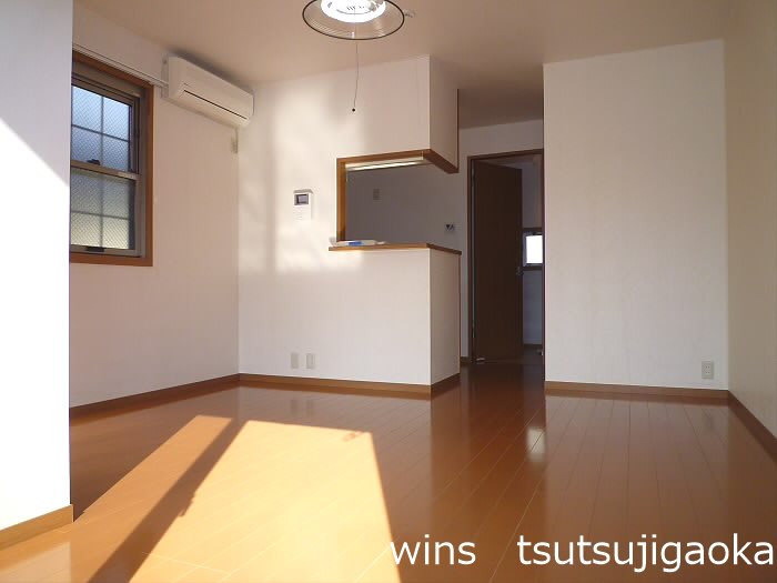 ステップ柴崎 リビング