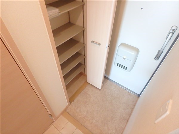 カンパニュラ その他11