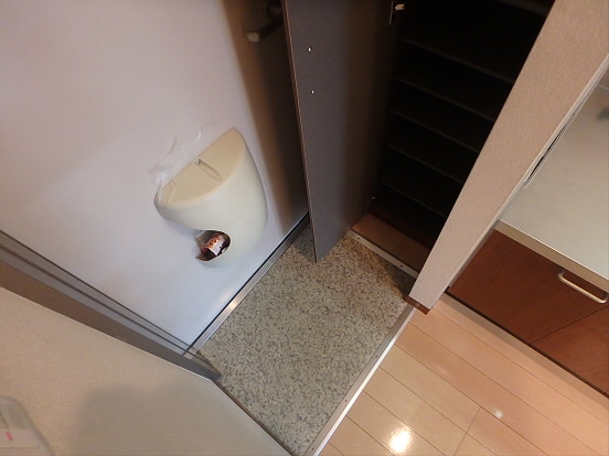 及川アパートメント 玄関