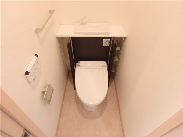 カンパニュラ その他2