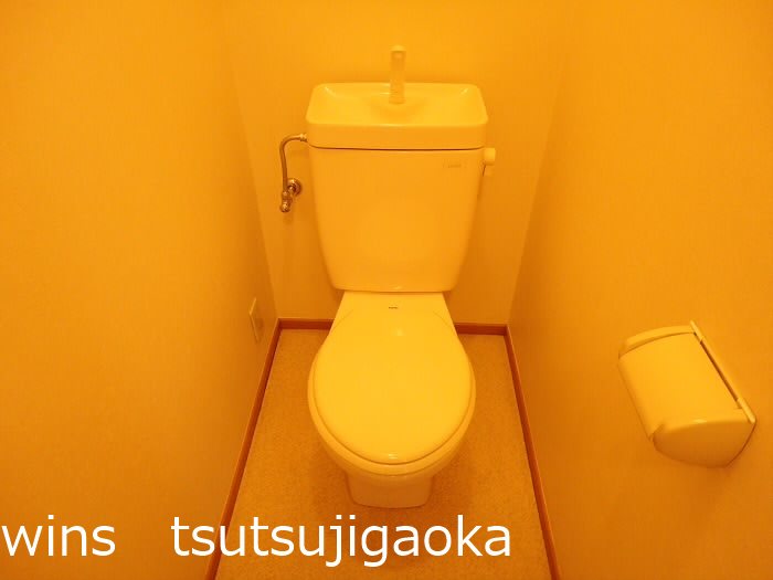 メープルアイ その他3