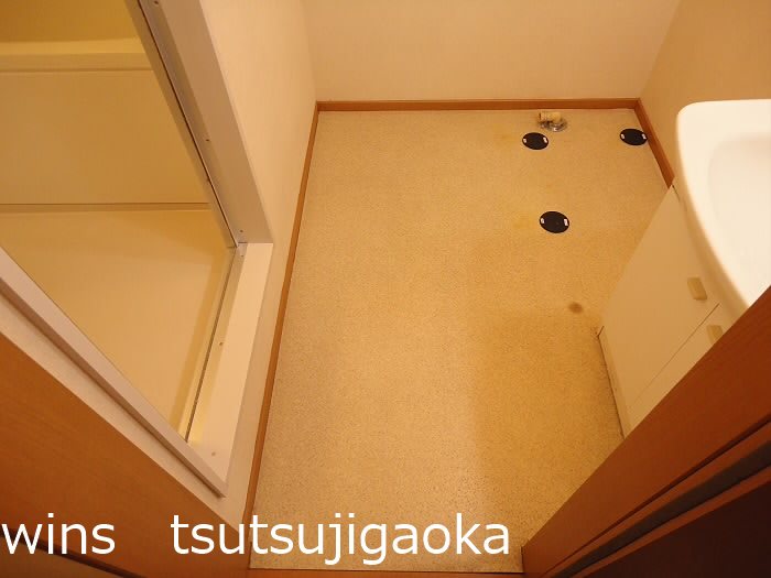 メープルアイ その他5