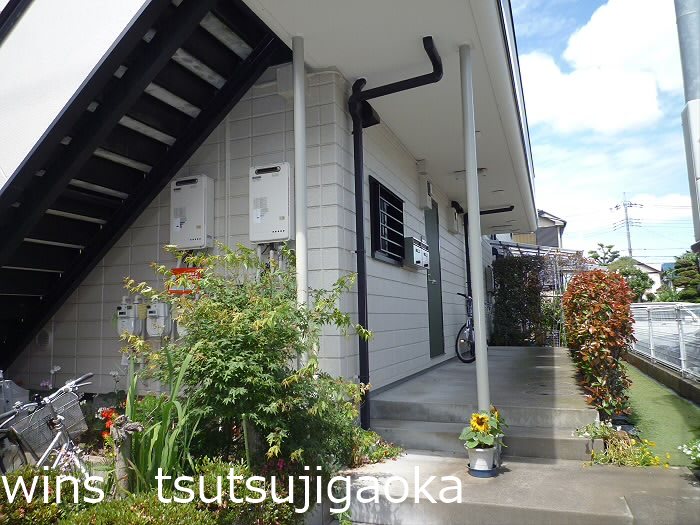 メープルアイ その他7