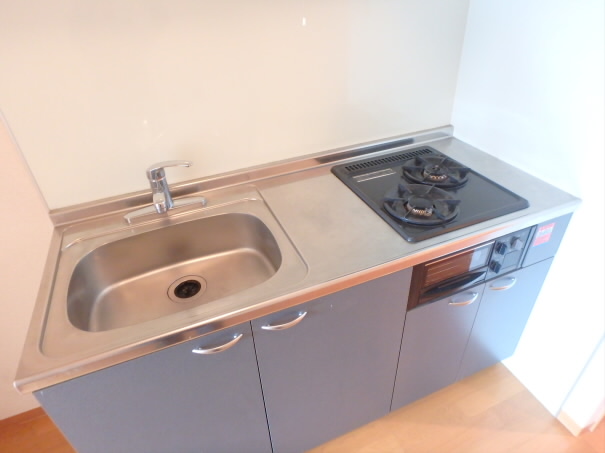 アースヒルズ※HPのみ キッチン