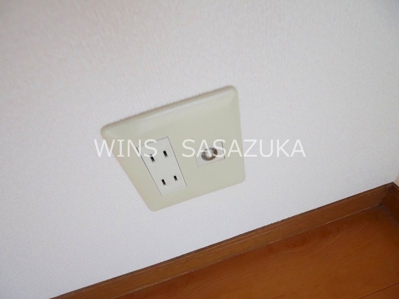 ウィステリア　 その他11