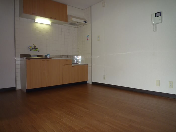 ドミールシャルマン その他5