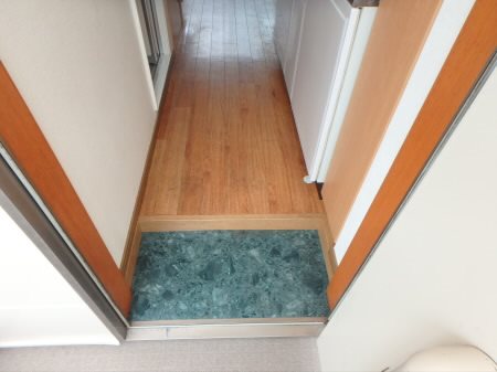 ヒルサイドつつじヶ丘 玄関