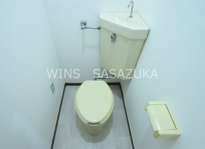 キャベッジホワイト その他2