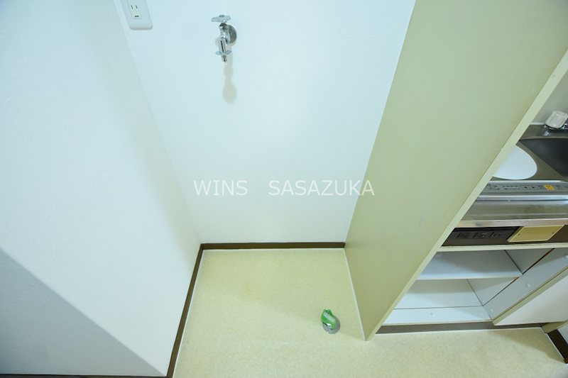 キャベッジホワイト その他5