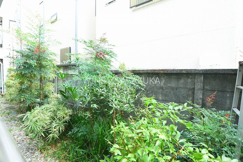 キャベッジホワイト その他6