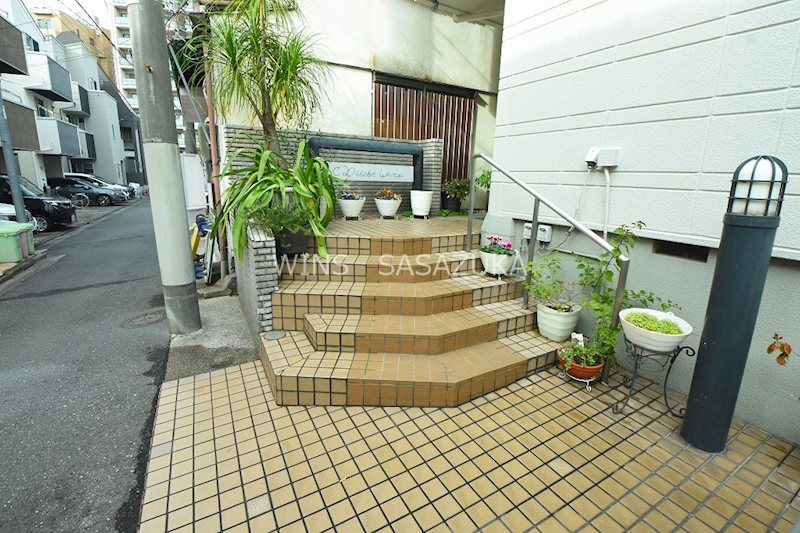 キャベッジホワイト その他7