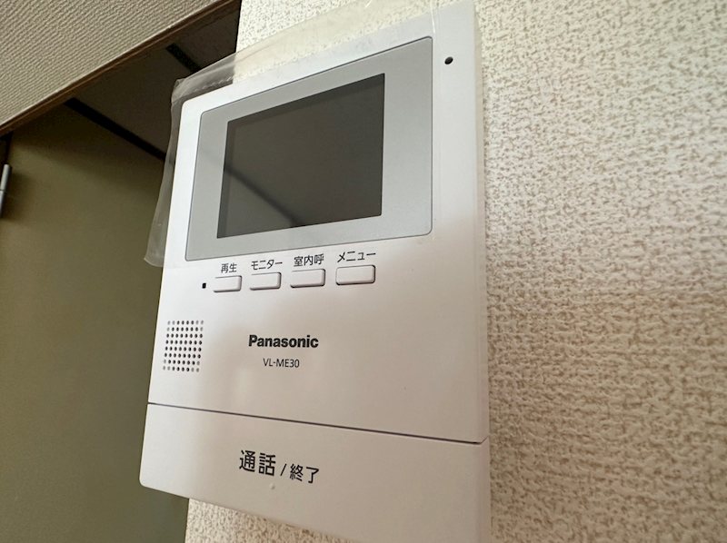 キャベッジホワイト その他4