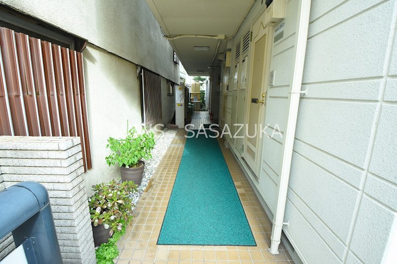 キャベッジホワイト その他6