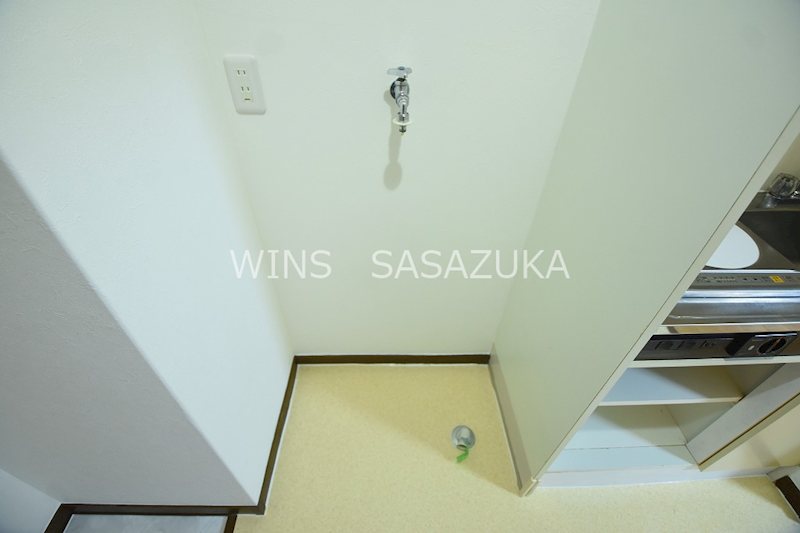 キャベッジホワイト その他9