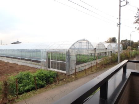 キャビンY その他6