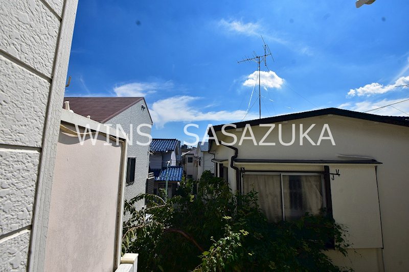 ホワイトパレスパンジー　 その他4