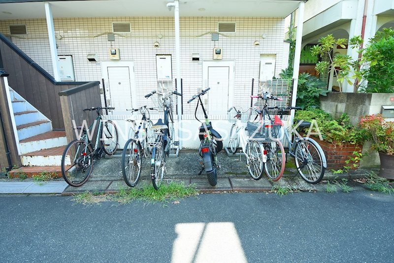 ホワイトパレスパンジー　 その他6