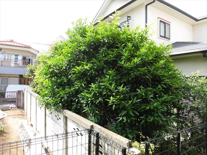 アペックス下高井戸Ⅱ ベランダ