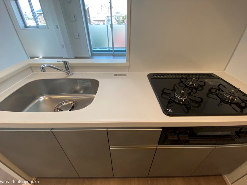 LUMINOUSつつじヶ丘（Eタイプ） キッチン
