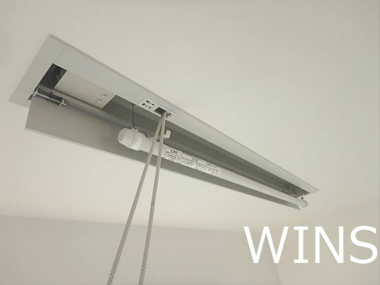 エリカ その他9