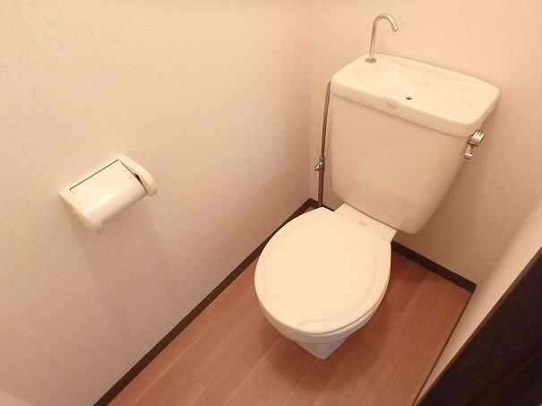 シルクウィング その他1