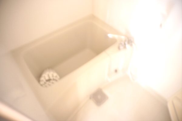 ルーエ調布 風呂画像