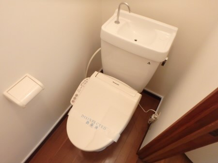 グレート・キシ その他3