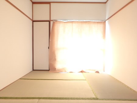 グレート・キシ その他5