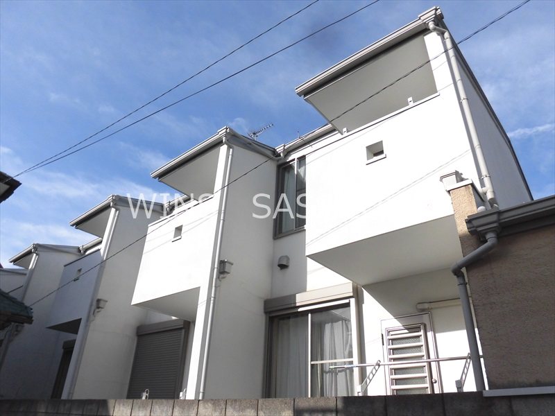 Westy葵  その他16