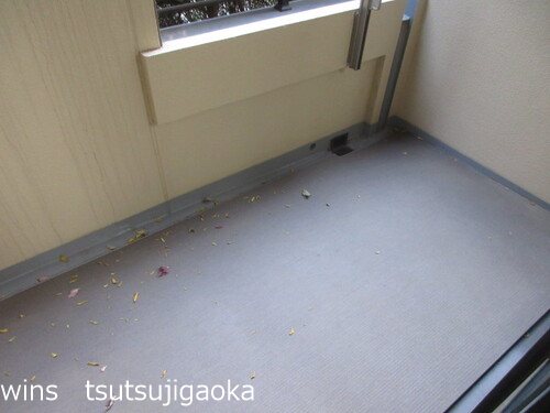 アトラス国領セントラルコート ベランダ