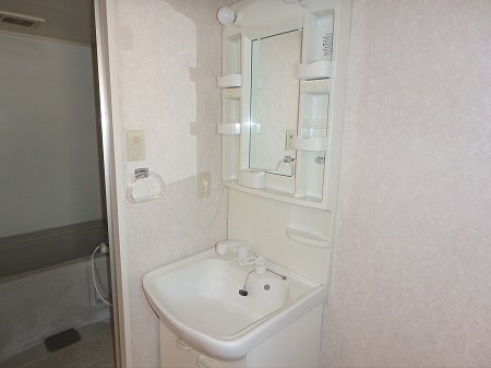 Pure Wing（ピュアウィング） その他1