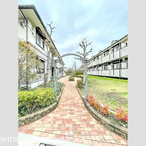 サザンクロス その他2