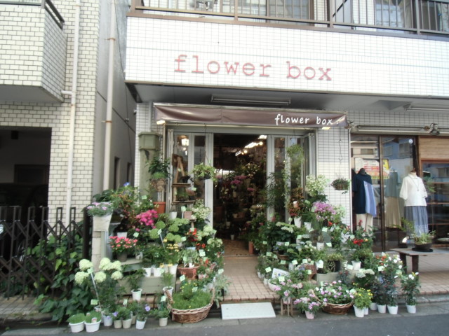 トレーノ赤堤 周辺画像8