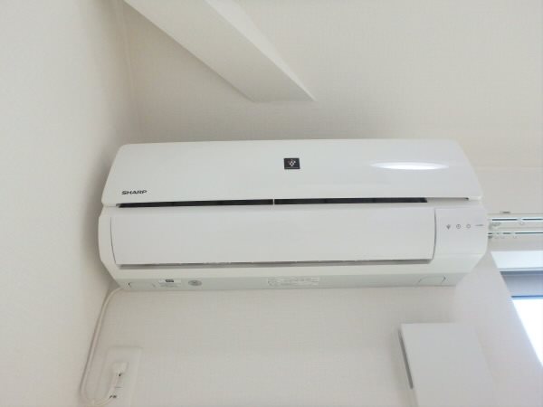 エカテリーゼ  その他3