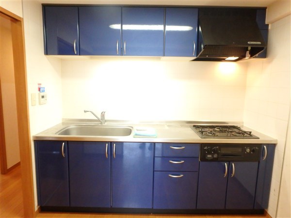 ヴィバーチェ仙川 その他12