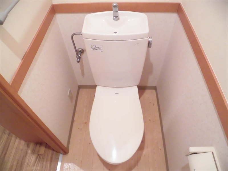 ハット・ミリュウ その他3