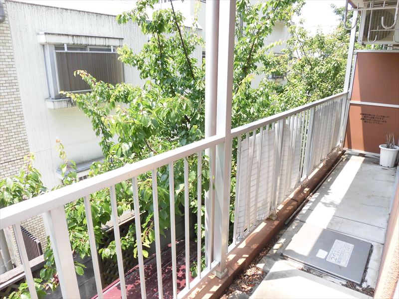 ハット・ミリュウ その他4