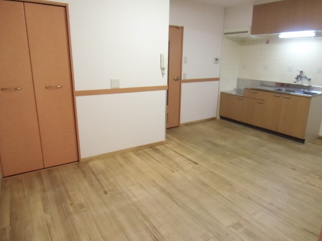 ハット・ミリュウ  その他15