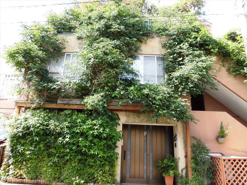 ハット・ミリュウ その他20