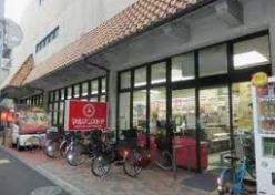 ノーブルヴィラージュ城山 周辺画像2