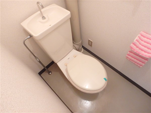 武蔵ハイツⅠ（再契約型） その他3