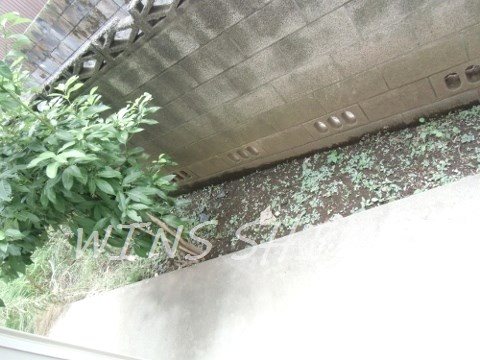 ルミナス赤堤 その他4