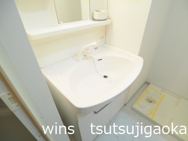 パインニードル その他1