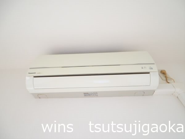 パインニードル その他3